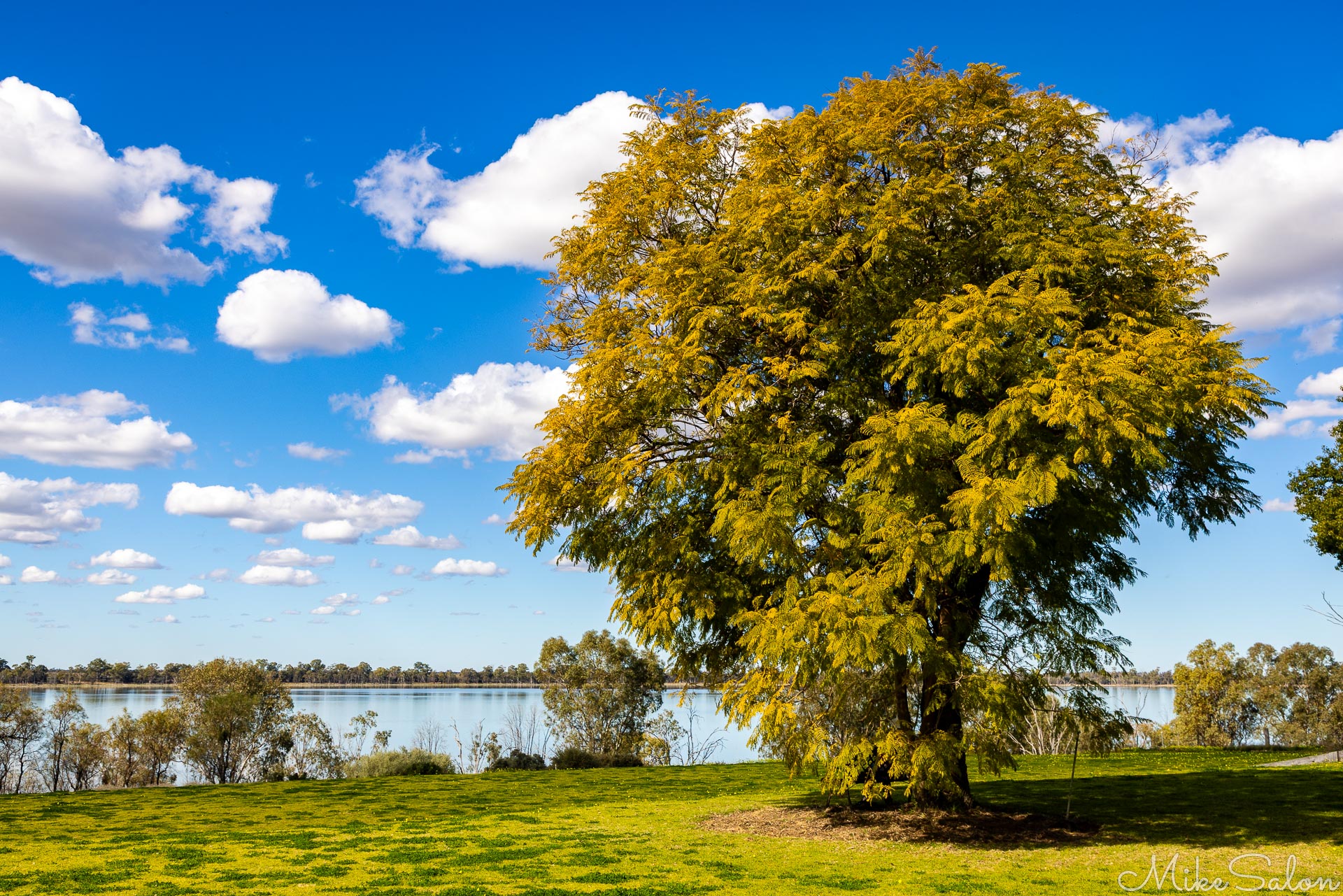 Tranquil and beautiful, Yanga Lake in front of the old sheep-station homestead. [4977]