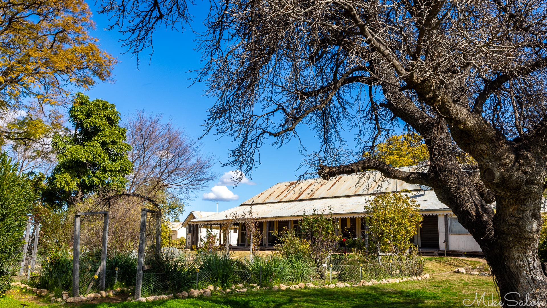 Yanga Homestead seen here fronted by its rose garden. [4979]