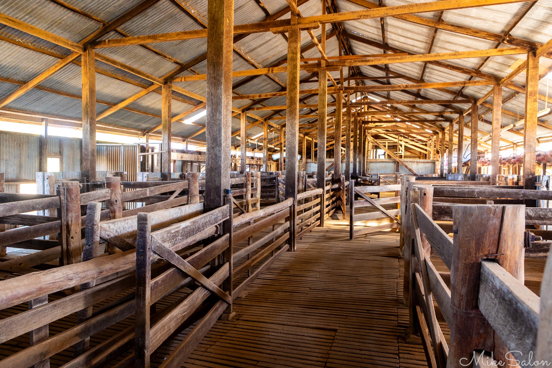 Corrals and pens for managing the incoming sheep at Yanga Woolshed. [4966]