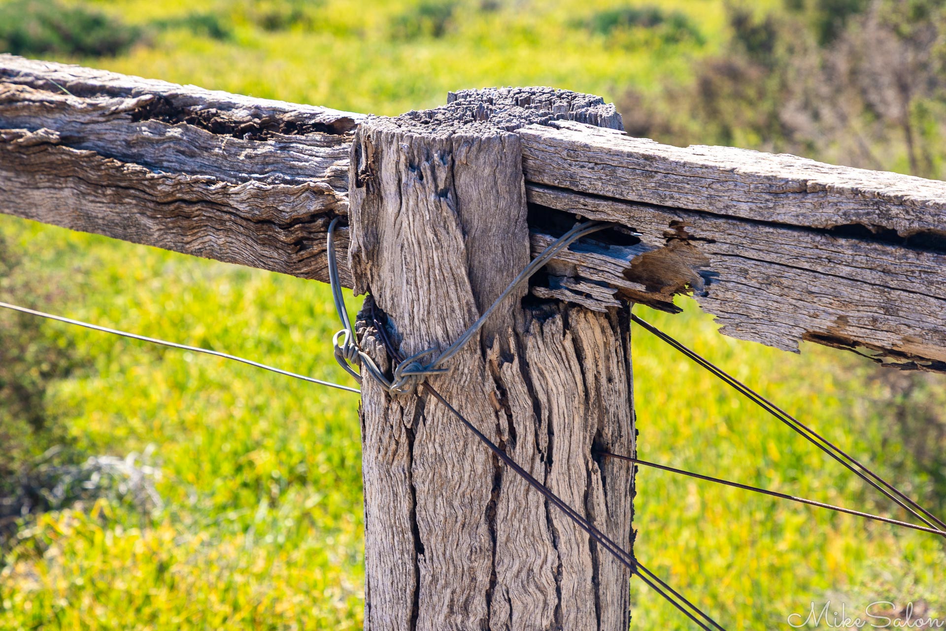 Detail of post, rail and steel wire in this Yanga Station fence. [4958]