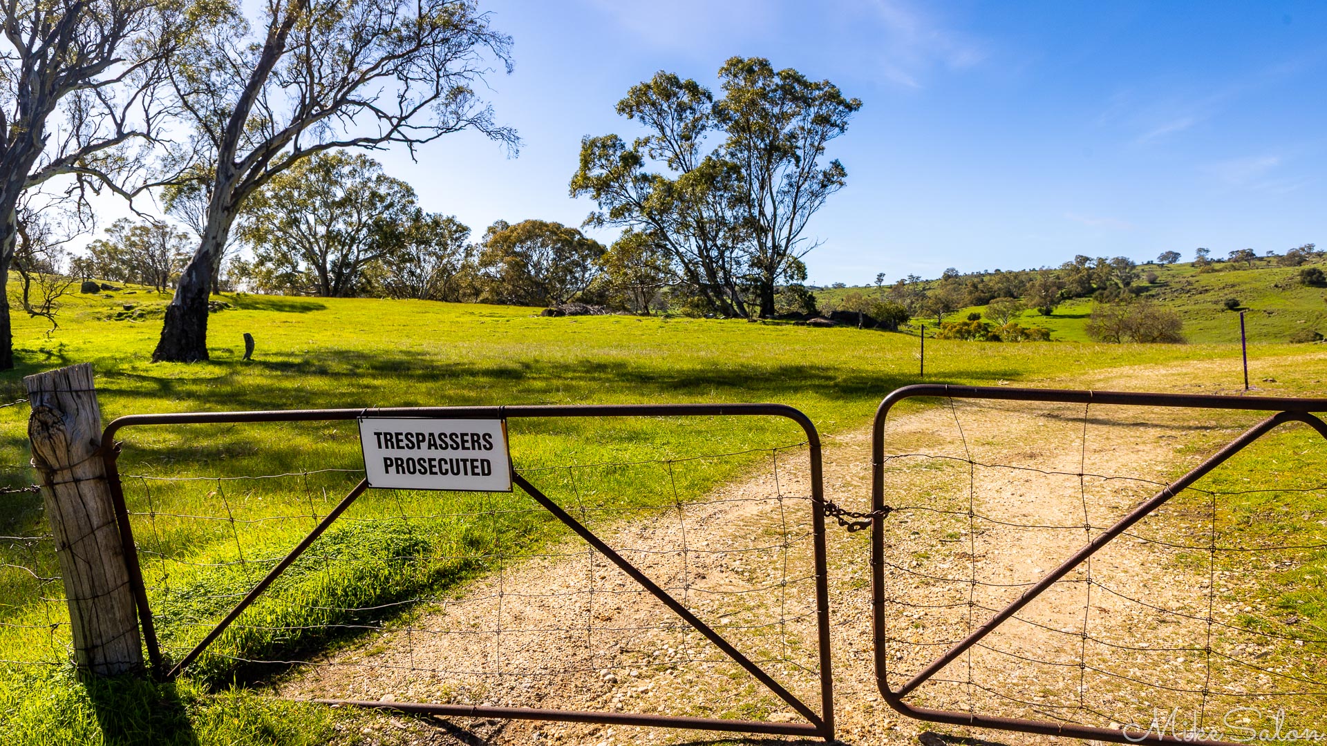 2025KangarooIs