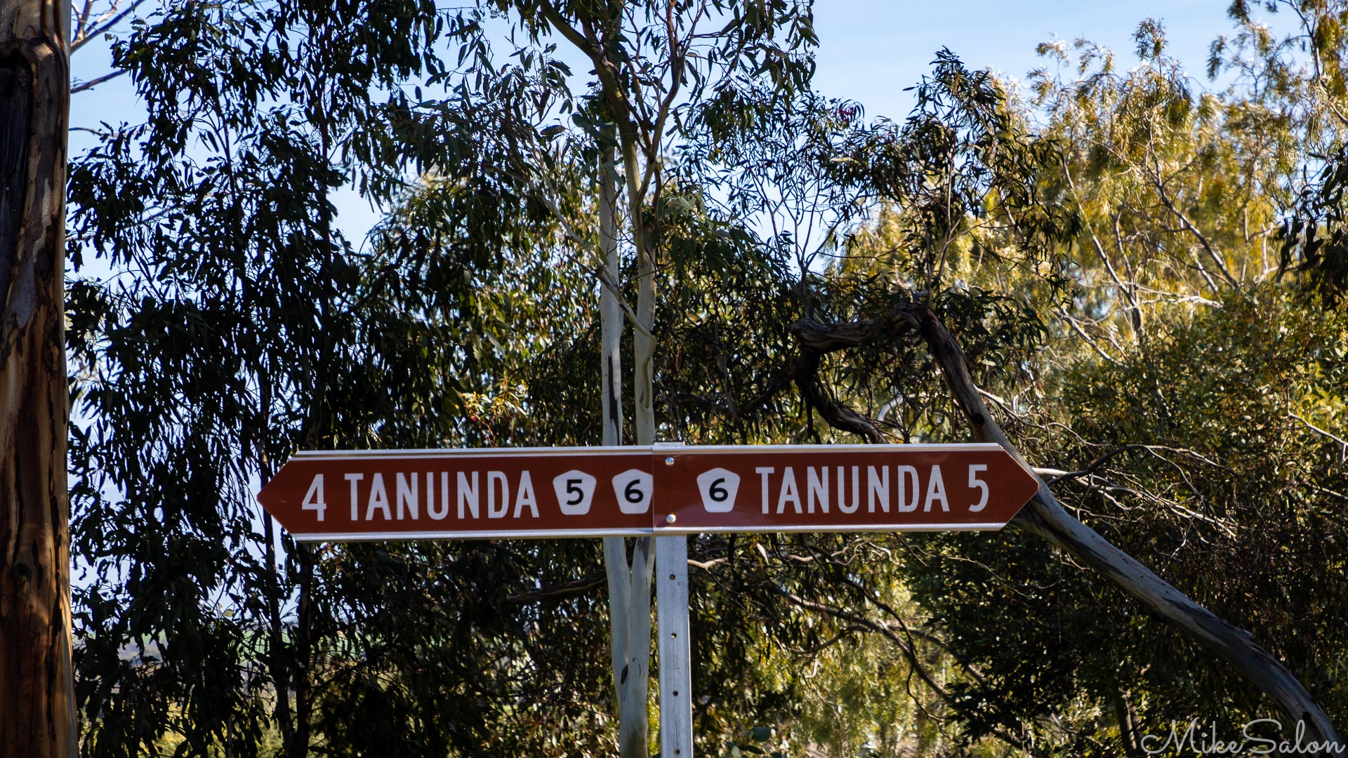 2025KangarooIs