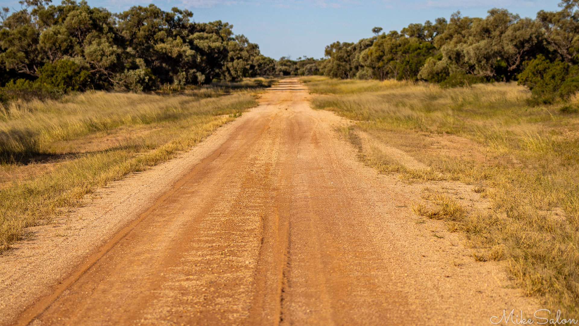 Deserted and dusty, a dead straight road in Channel Country. [8870]