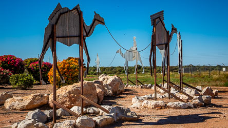 This installation, paying tribute to the Afghan cameleers of the 19thC, welcomes visitors to Birdsville. The installation was commissioned by Diamantina Shire Council and is attributed to John Underwood. [1055]