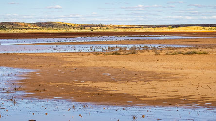 Refreshed floodplain off the Diamantina River coming into Birdsville. [9339]