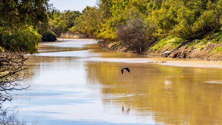 One one side of the crossing, hundreds of birds, but to the north-east, very few. But an idyllic scene. [0542]