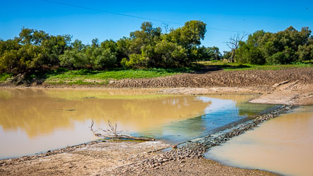 There's an old ford beside King Creek Crossing, and as the water flowed, hundreds of small fish, probably Spangled Perch or Bony Bream, could be seen climbing the small rapid so as to reach fresh breeding grounds. [1089]