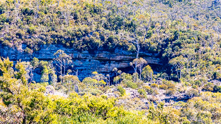 Glimpse of Walls Cave from high up on the access track. [6077]