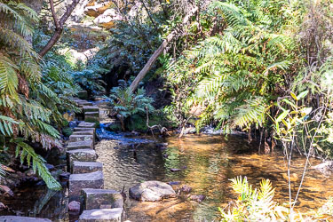 Stepping stones (not natural!) along Greaves Creek kept our feet dry. [6095]