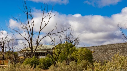 The signage is not clear, but this home appears to be the BHP Mine Manager`s residence. [2914]