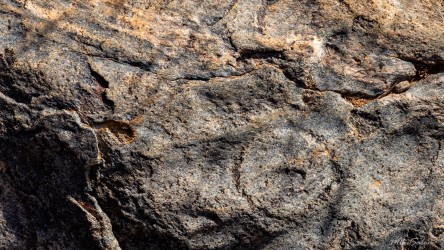 Circle carved more than 30,000 years ago by the Bo-arli people of the Wilyakali. No idea what this represented! [2766]