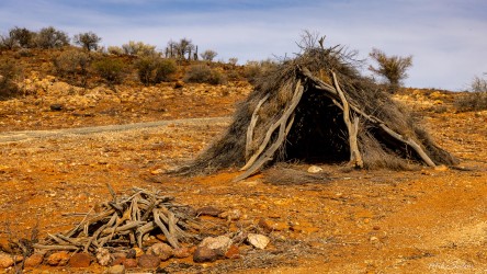 The Wilyakai people were building shelters, Yapara, here 20,000 years ago, using broken mulga and leafy branches from turpentine or emu bush. This one is a relica on the Cultural Walk.[2724]