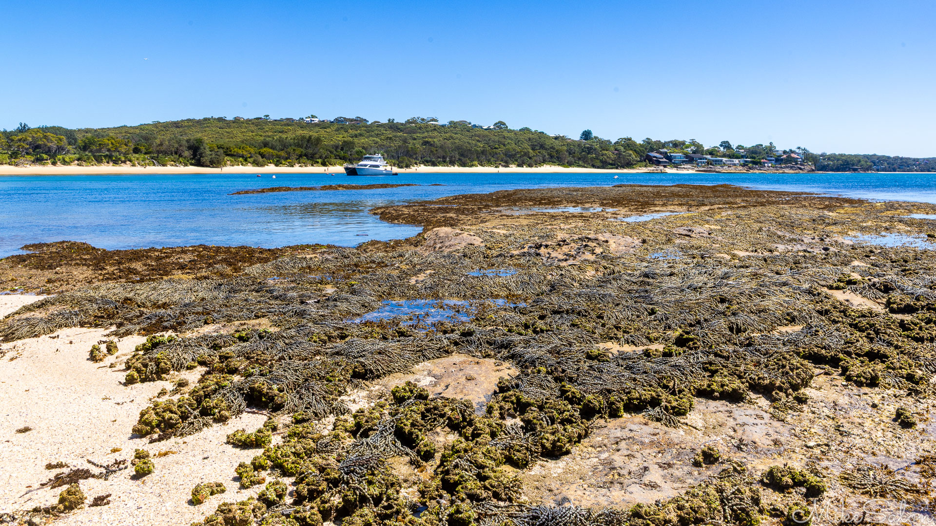 Rock platform and Jibbon Beach, Bundeena. [6471]