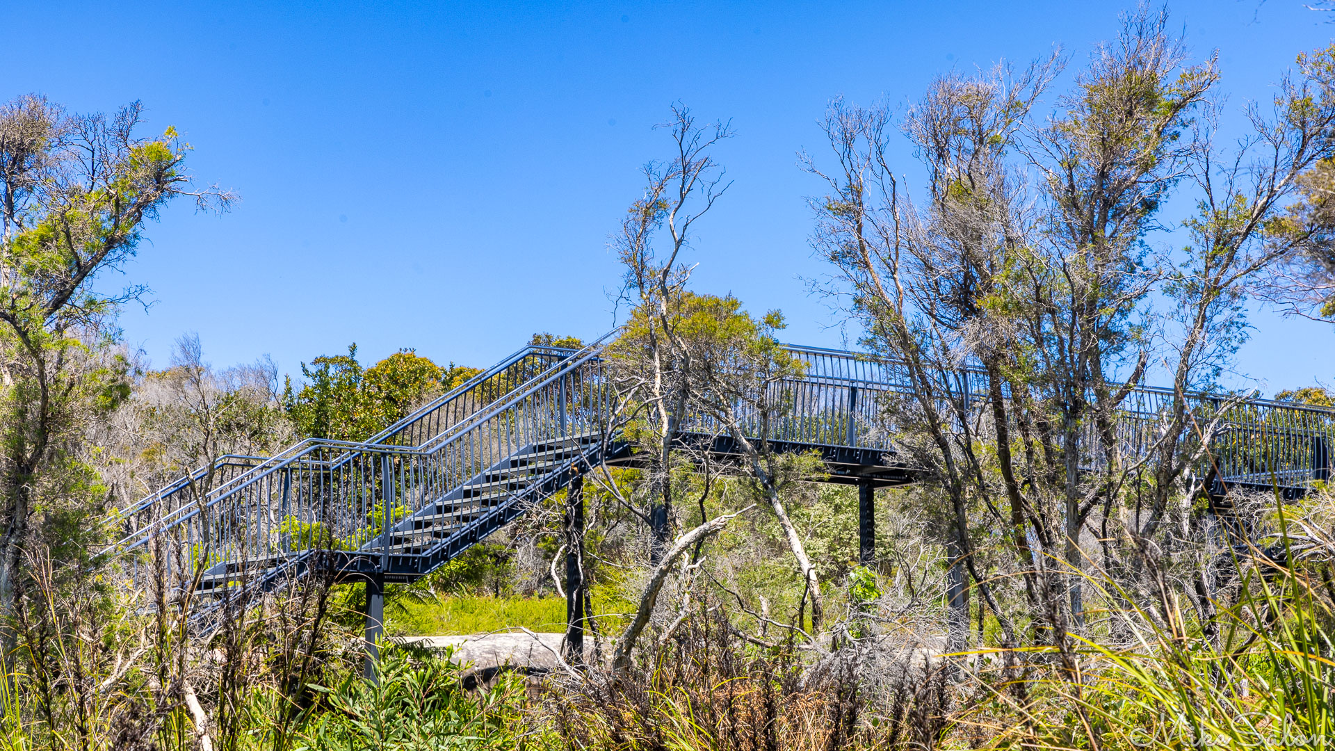 Steel pedestrian bridge protecting the rock engravings at Jibbon Head. [6475]