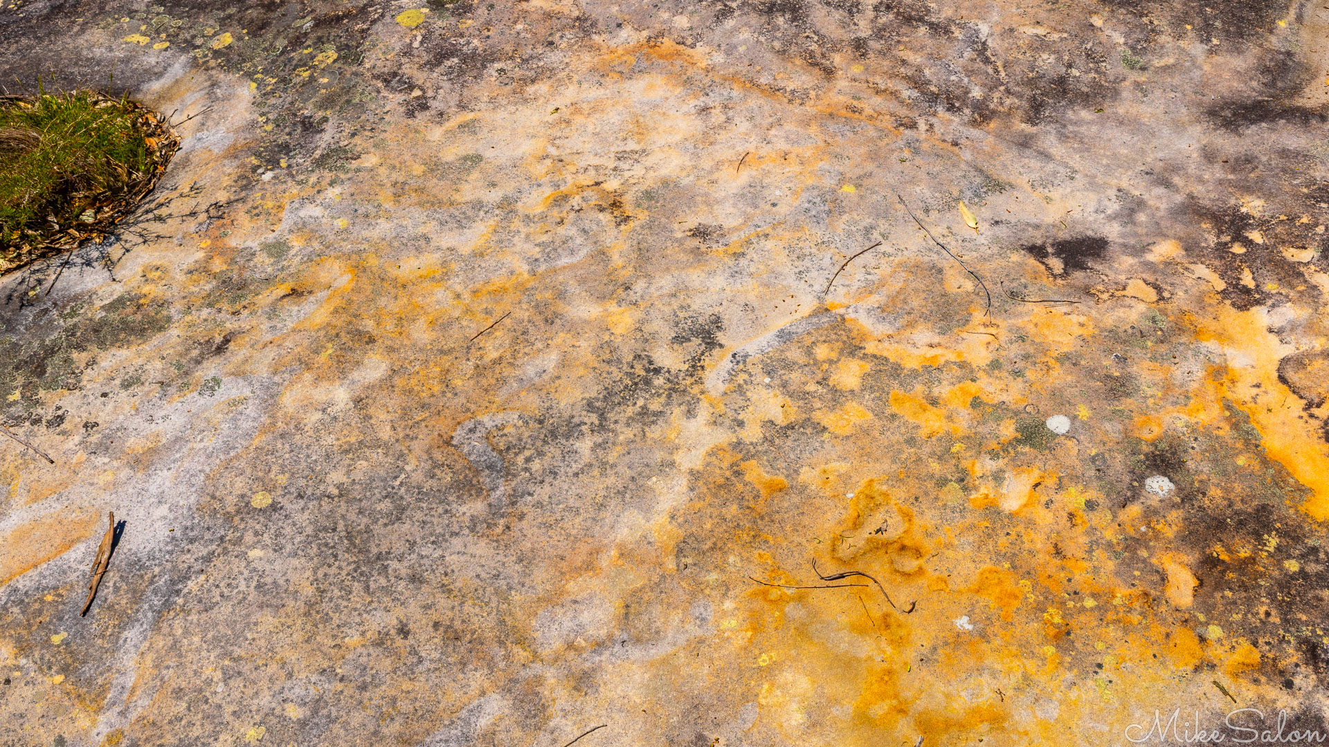 Indistinct rock carvings at Jibbon Point. [6477]