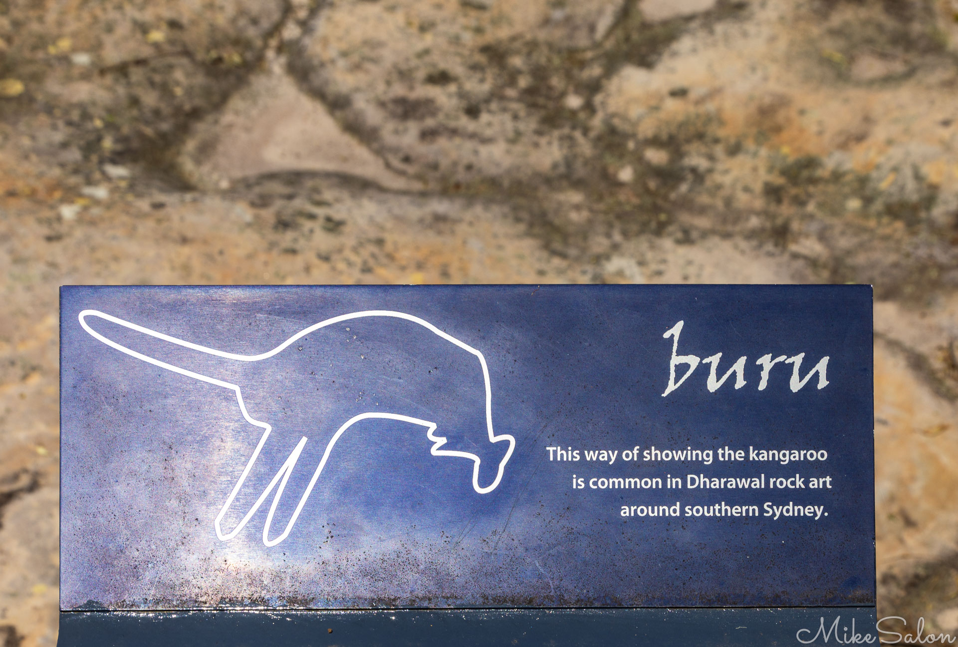 Signage showing how the Dharawal depicted kangaroos. [6478]