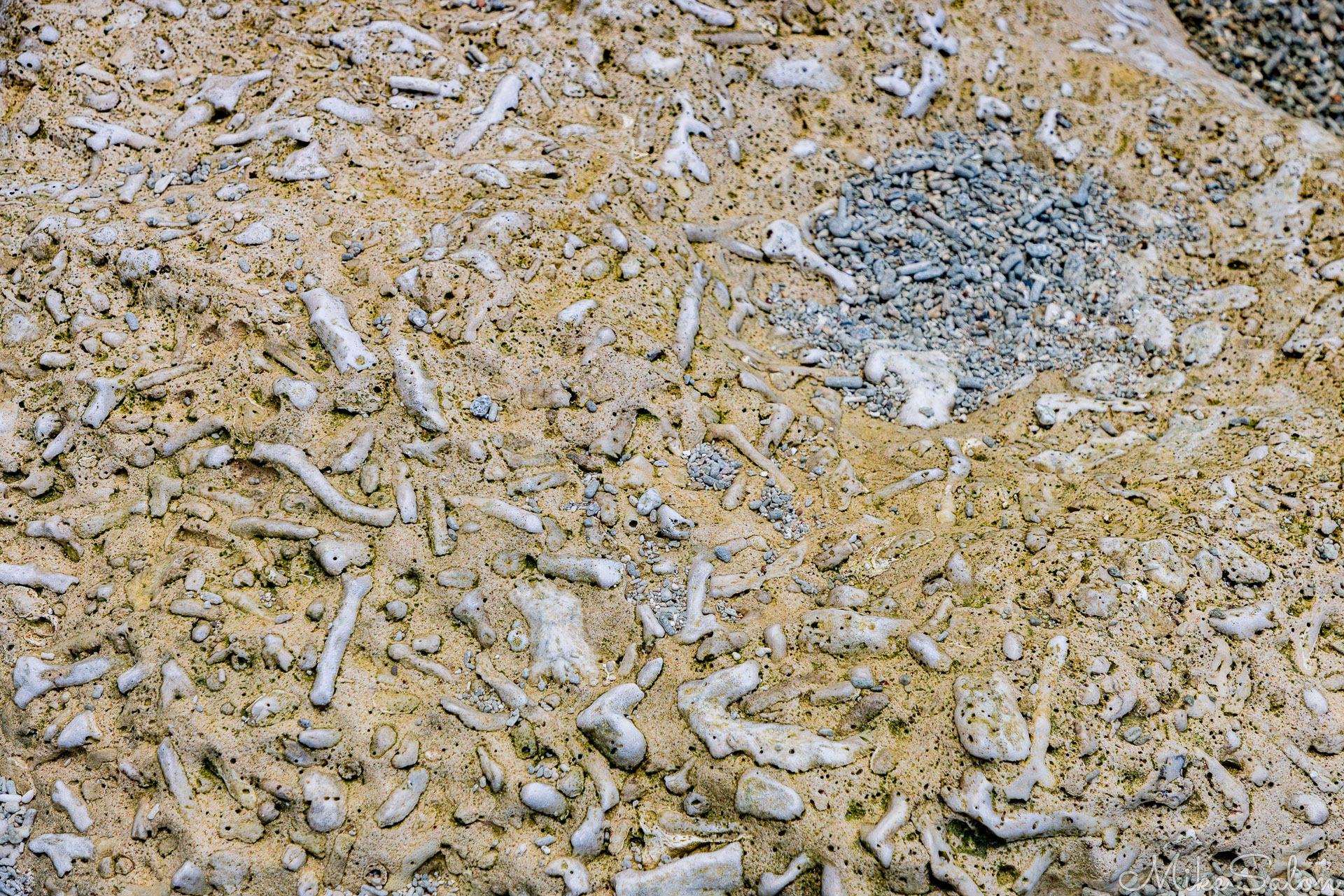Broken coral sand on EThel Beach. [0151]