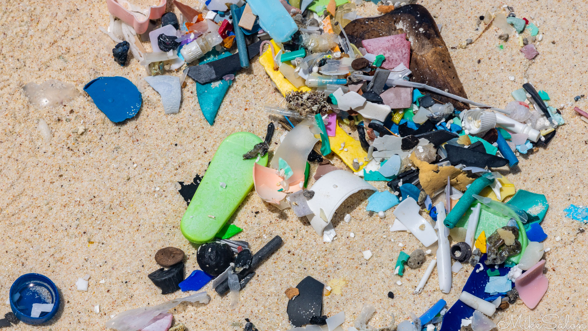 Colorful litter on Greta Beach. [9923]