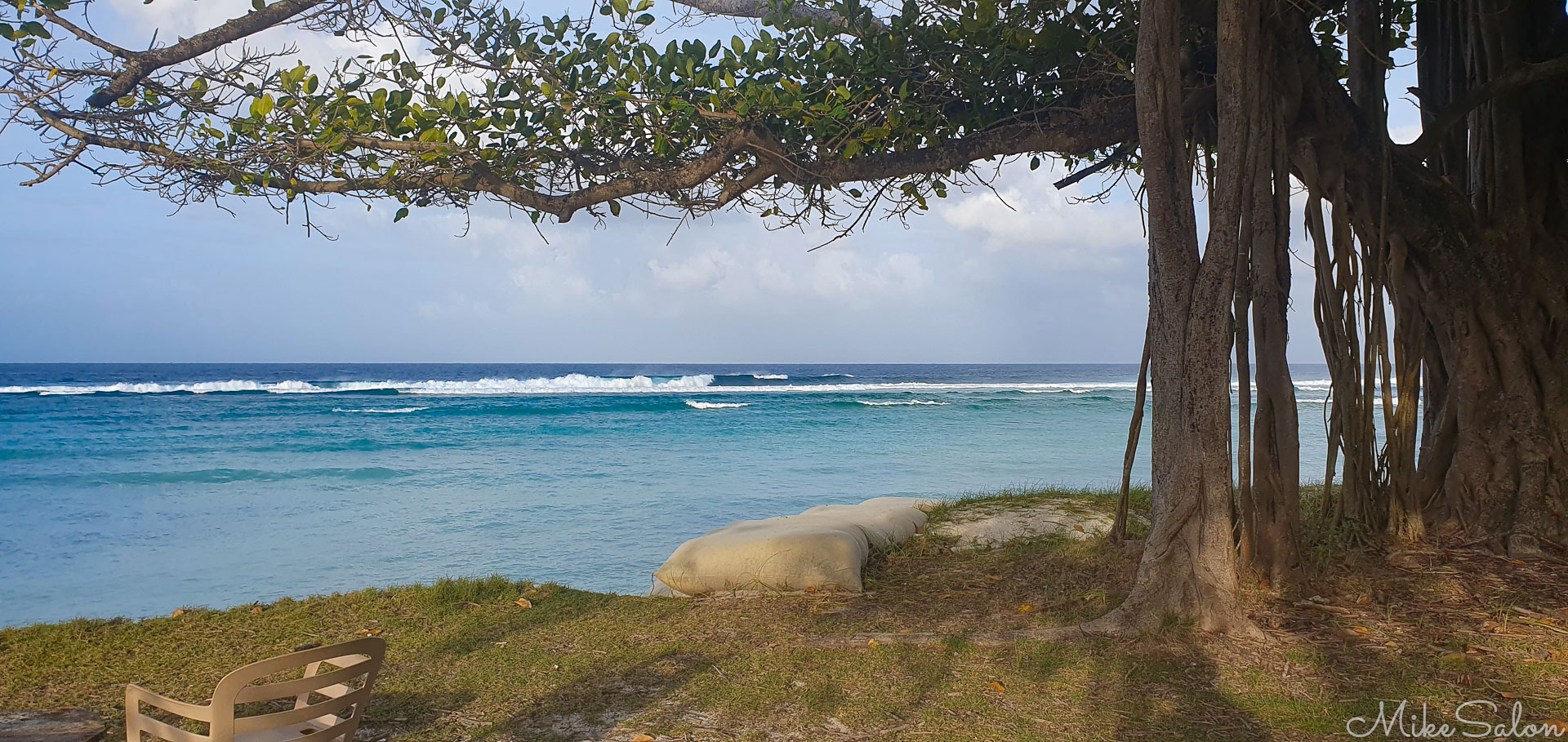 View from the beach at Cocos Island. [1952]