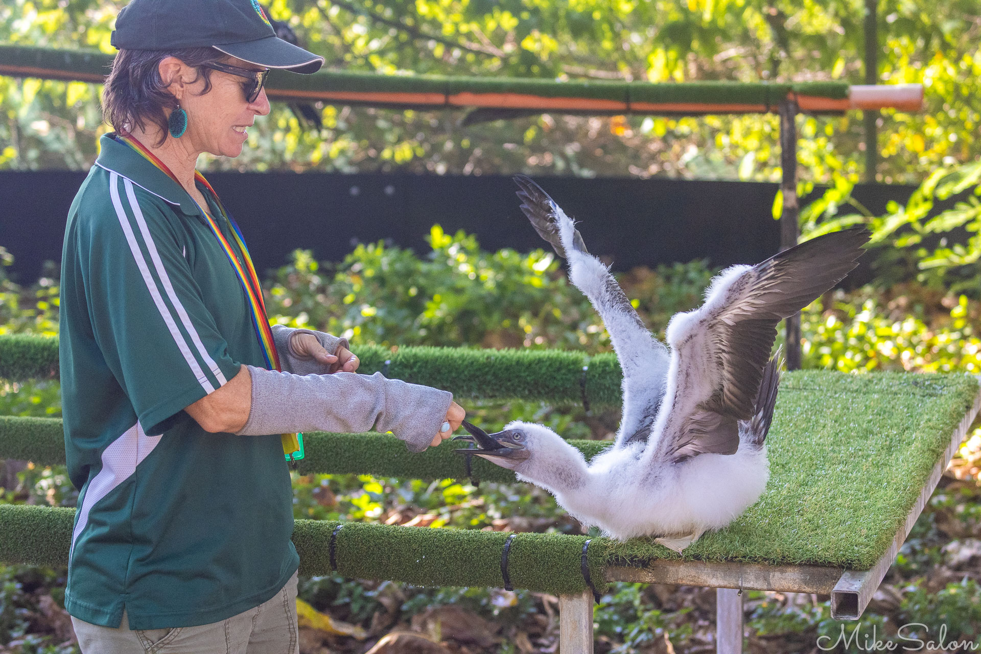 Bird feeding at the Rescue Centre. [0138]