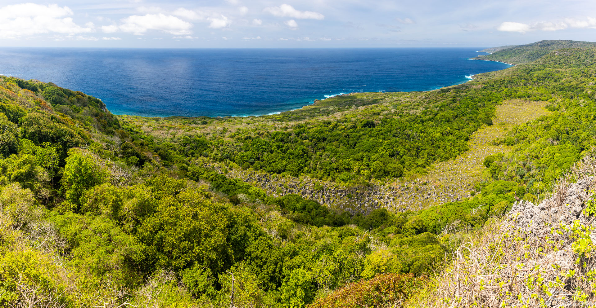 Panoramic view of the coast from Margaret Kroll Lookout. [9774]