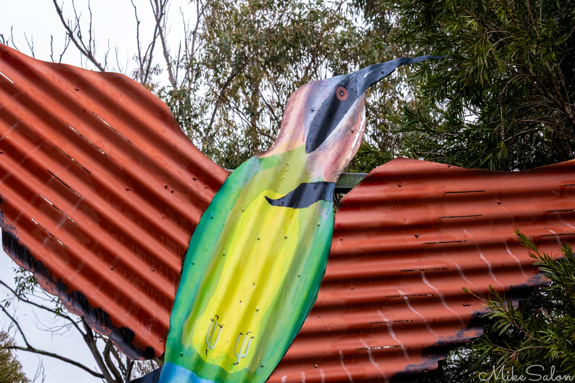 Corrugated steel artworks decorate a short Bird Walk in Cootamundra. This one is a Rainbow Bee-Eater, seen here from October to March, having migrated north to escape the cold.[5113]