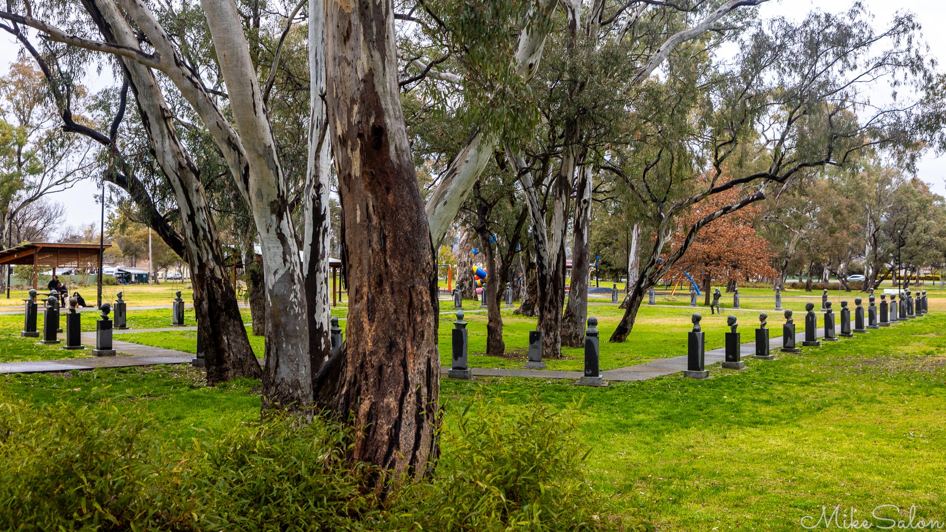 The Captains` Walk, started in 1998 and kept up to date, is an array of bronze busts of Australian Test Cricket Captains, located in Cootamundra`s Jubilee Park as a commemoration of the town`s cricketing legacy, which revolves around Don Bradman. The walk seems to be complete, but it looks like a second layer, onion style, is being started to accommodate future captains. [5149]