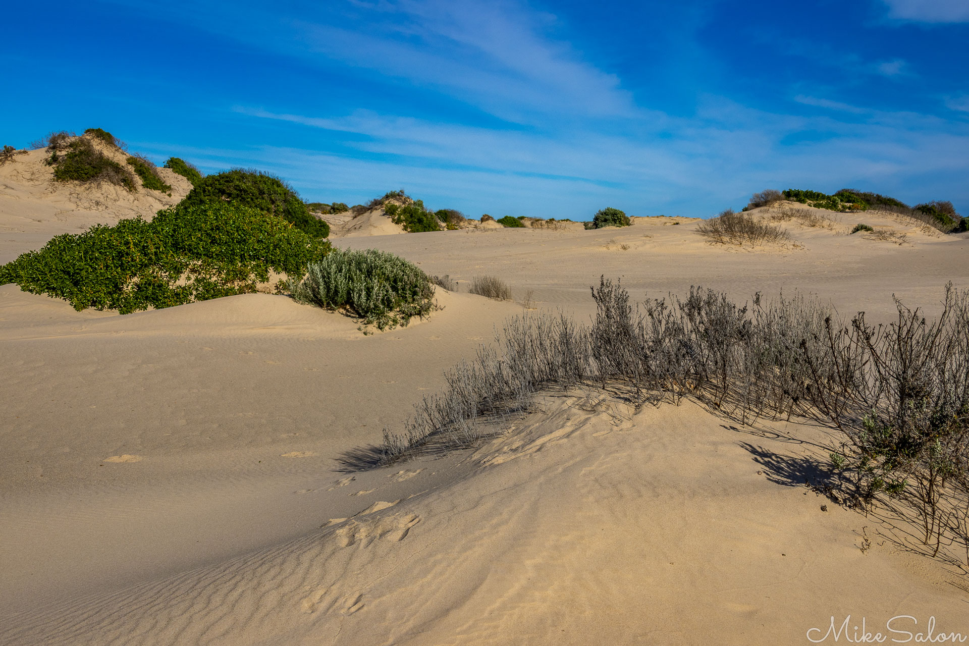 Sand Dune on Younghusband Peninsula. [1758]