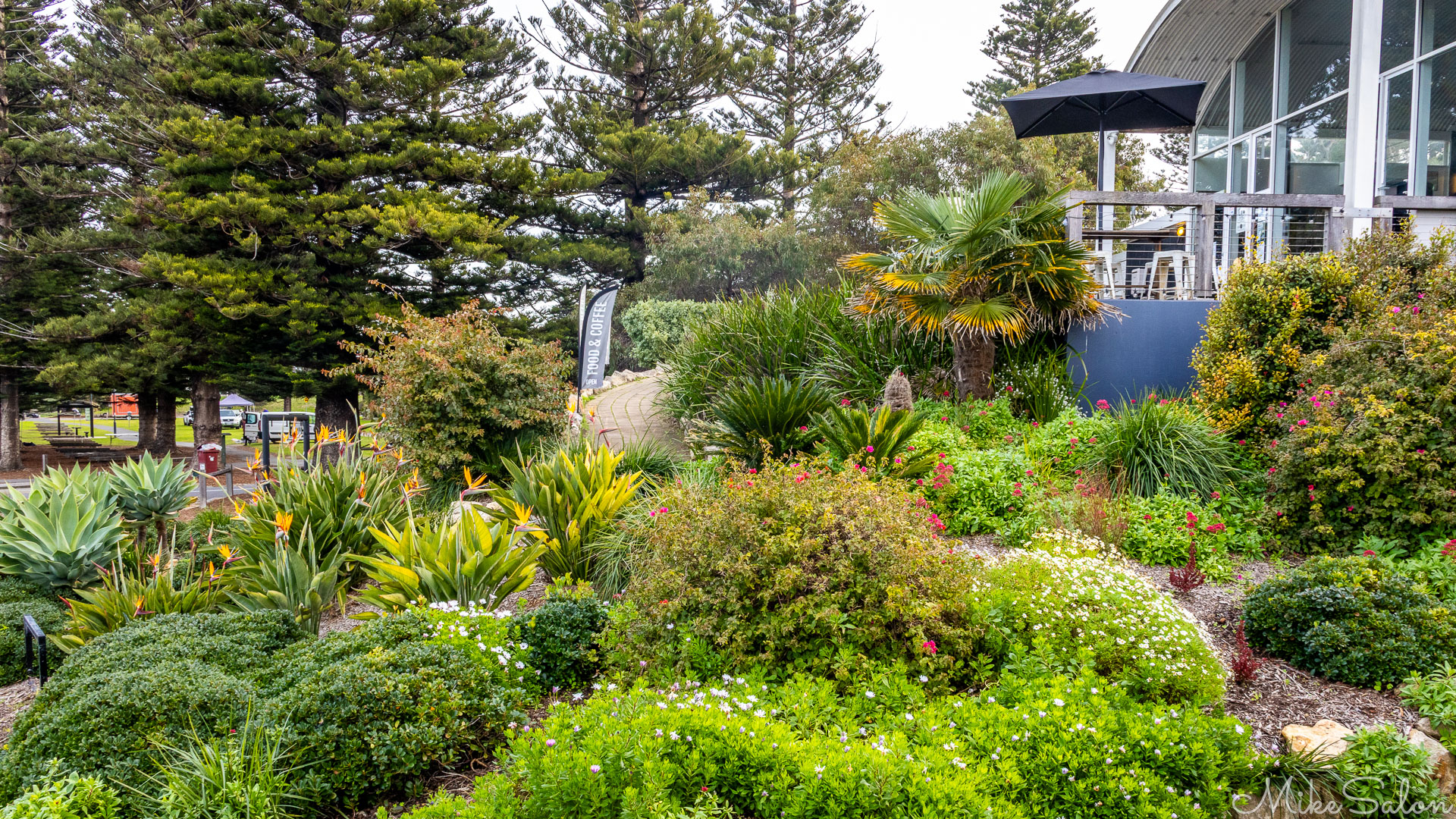 Beautiful garden in front of a Wine Bar. [2163]
