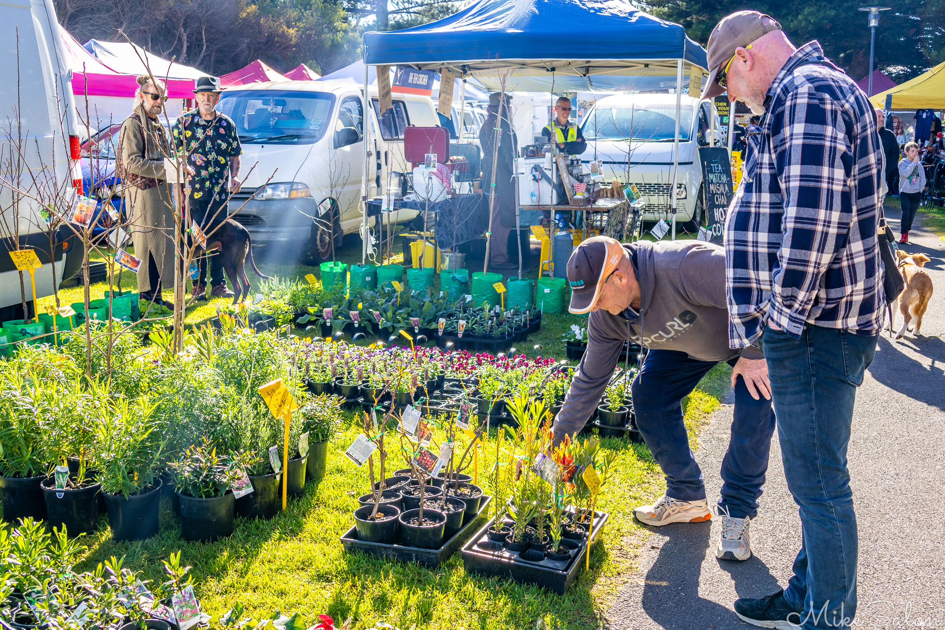 Nursery outlet at the Goolwa Market. [2010]