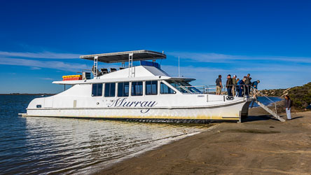 This is the Spirit of the Murray as it unloads passengers for a walk across Younghusband Peninsula. [1750]
