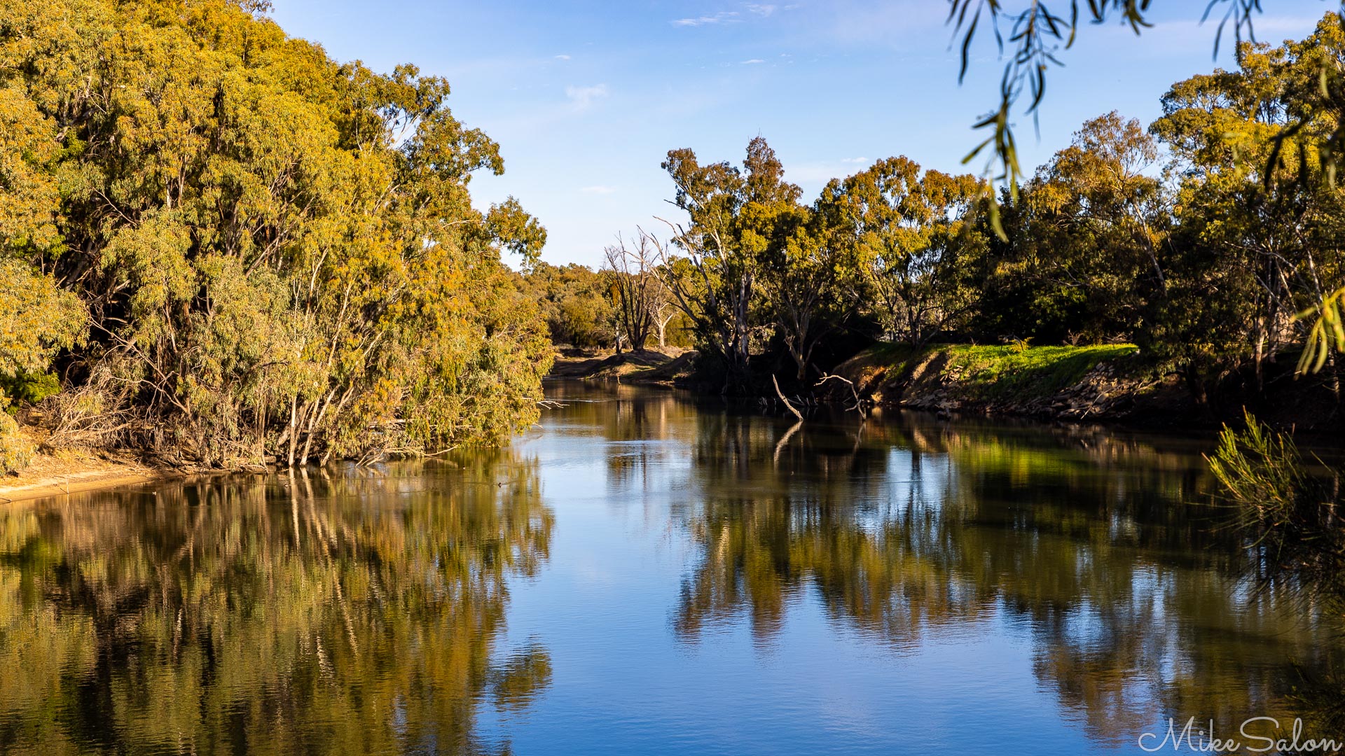 Still water tree relections on a peaceful Murrumbidgee River. [1944]
