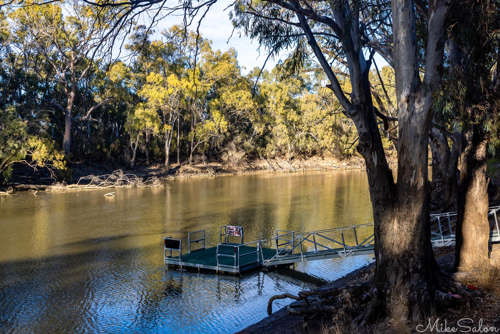 Swimming pontoon floats out into a tree-lined river. [5082]