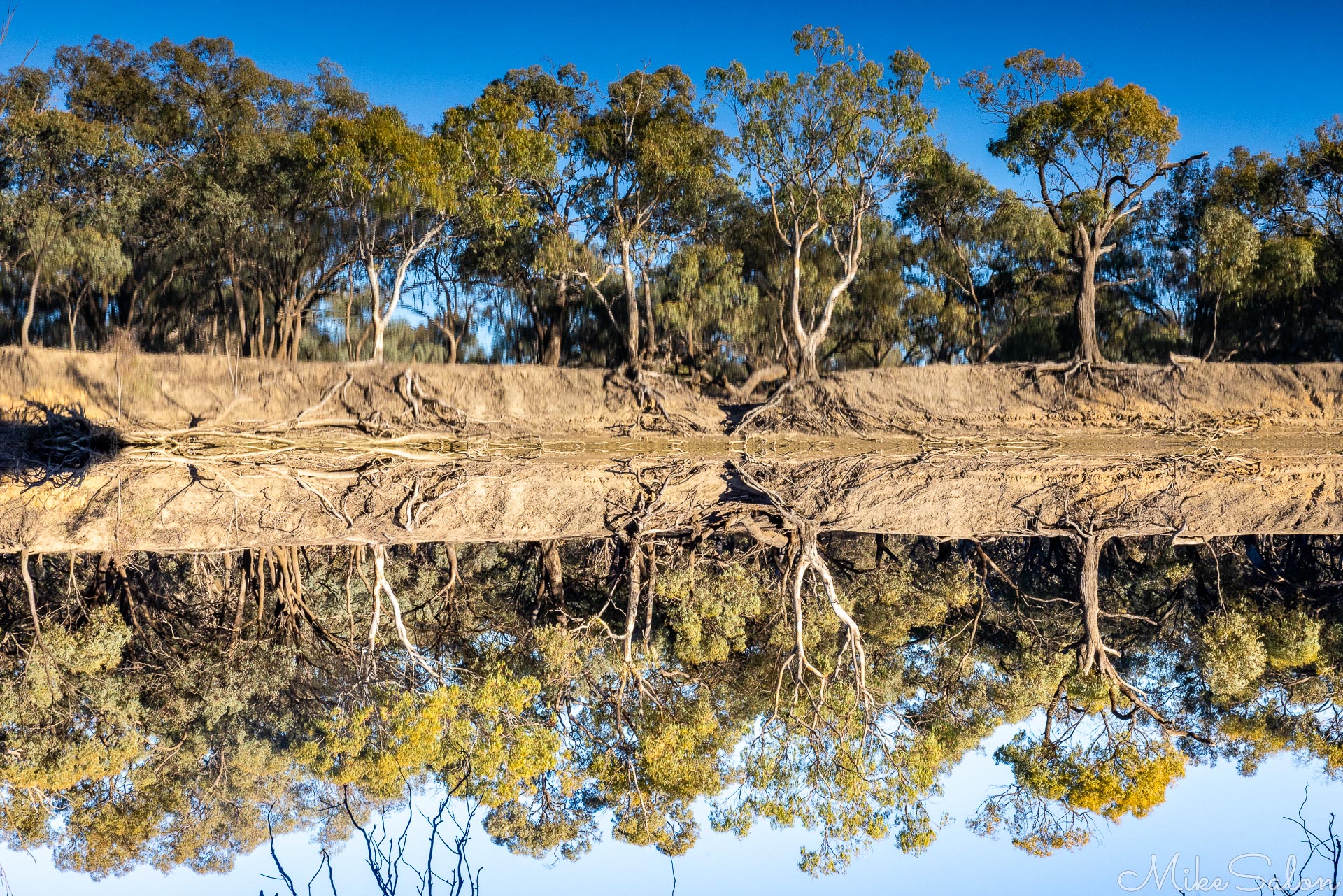 Almost perfect reflection of trees lining a peaceful river. [5013]