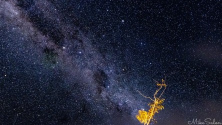 The night sky from Ivanhoe with Crux visible despite some clouds. [2003]