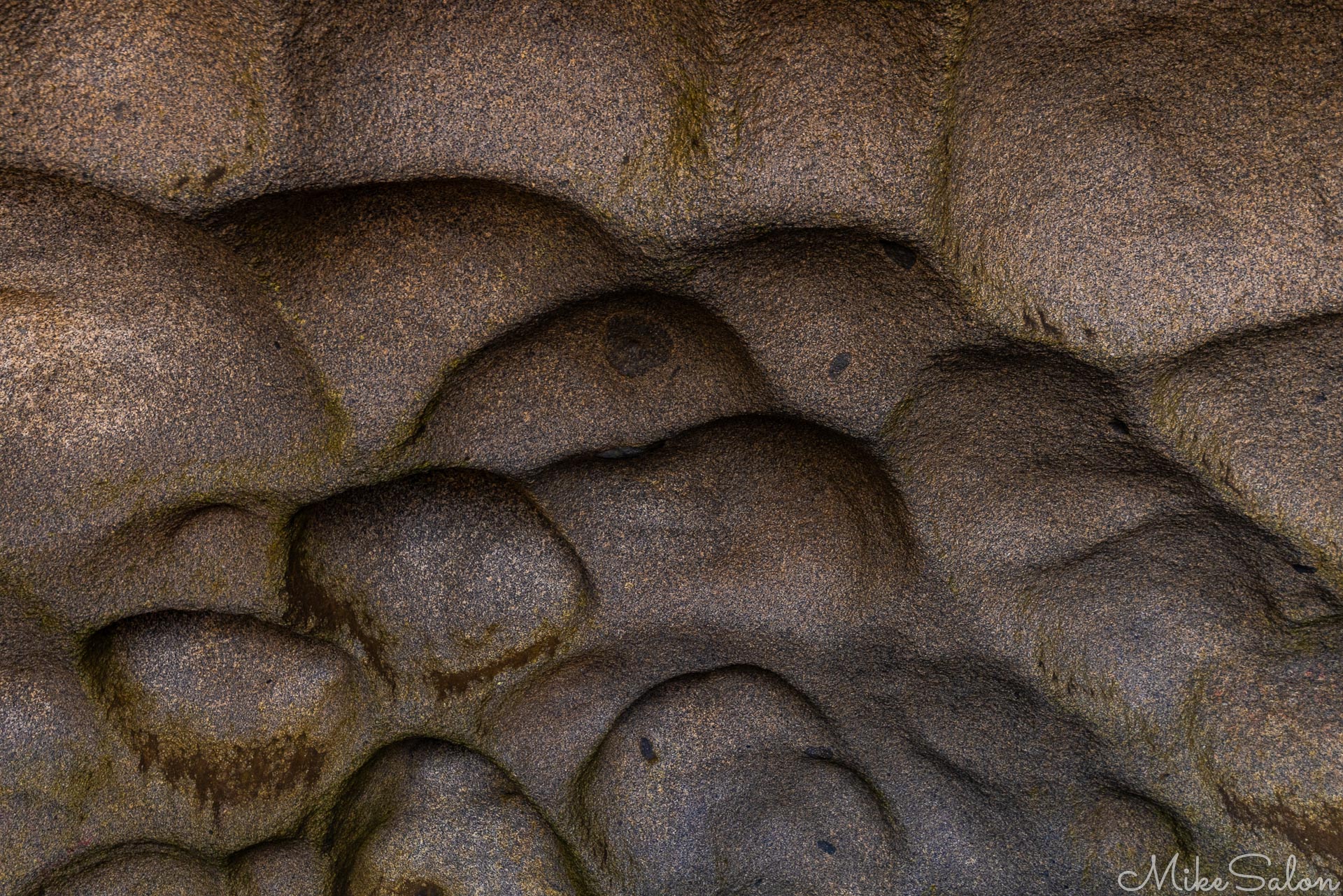 Unique ceiling patterns in a damp cave at the Remarkables. [3486]