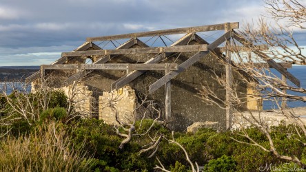 Old ruined storehouse in a partly overgrown setting. [3727]
