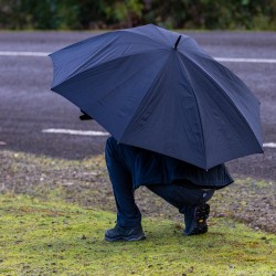 A photographer kneeling to take a shot, hiding under an umbrella. [3444]