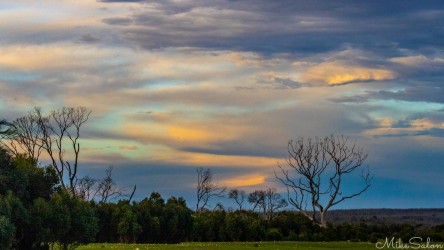 Beautiful late afternoon sky with some trees in the foreground. [4064]