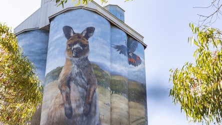 Silo Art showing endangered species painted in a huge mural. [3349]