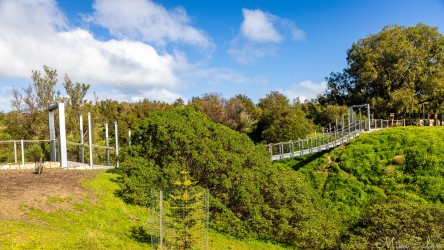 Pedestrian bridge across a ravine. [4413]