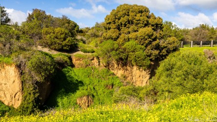 Ravine within the Kangaroo Island Sculpture Park in Penneshaw. [4420]