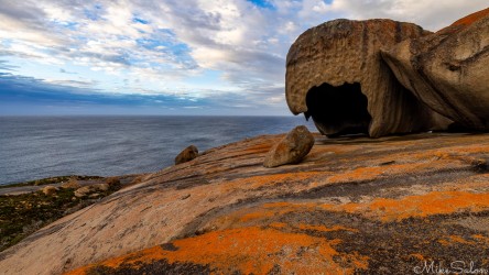 Orange lichen covers a rock face, cloudy skies and ocean behind. [4100]