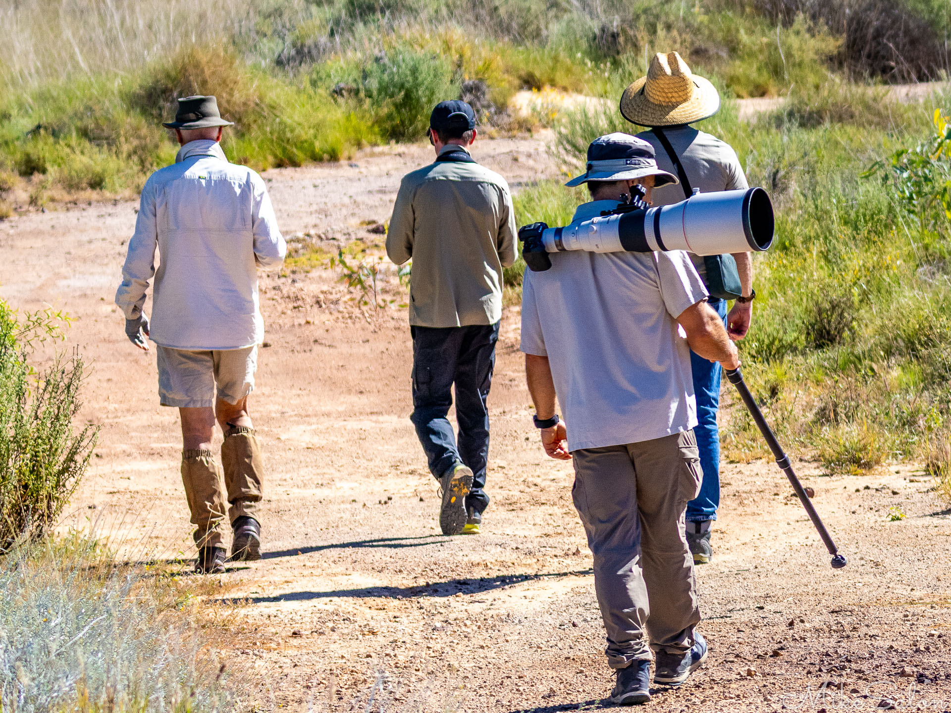 Keen birders setting off down a path. [8320]