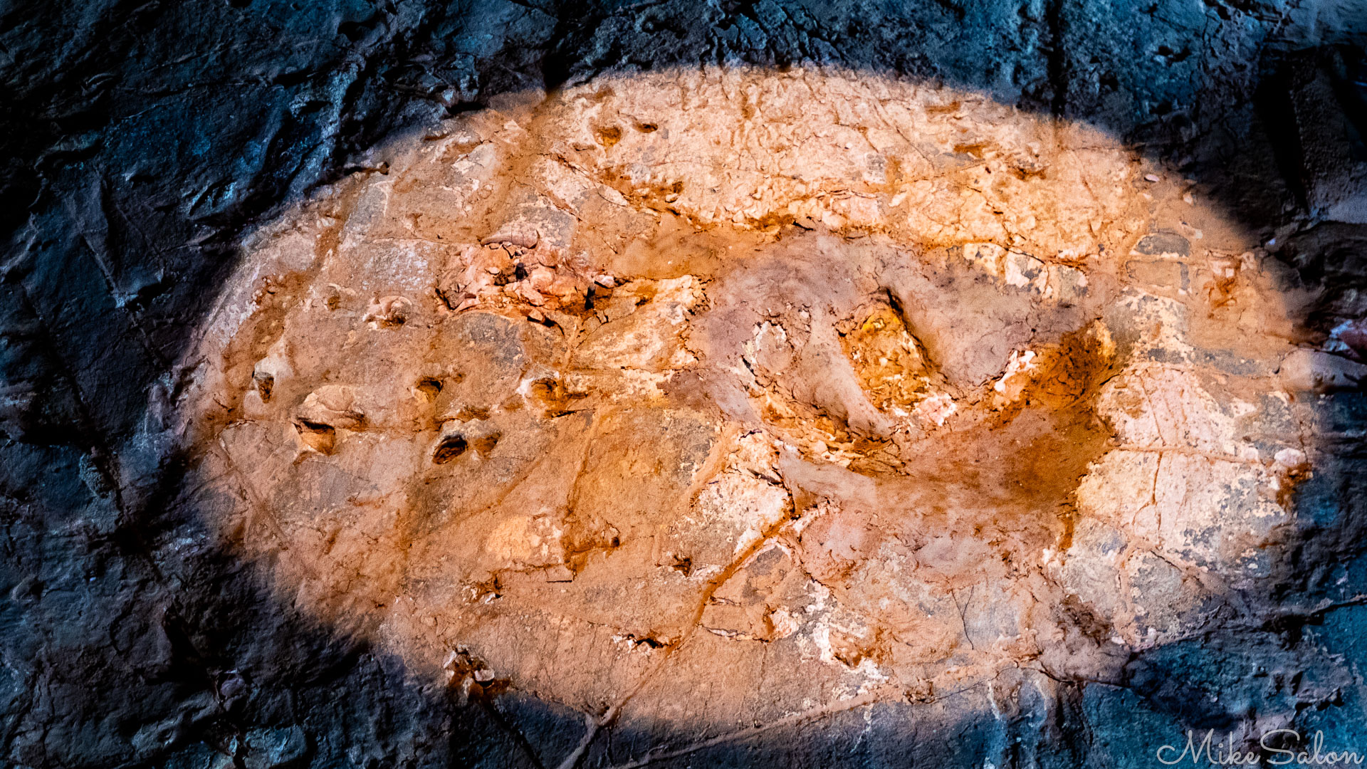 A large dinosaur footprint, maybe the predator. [0955]