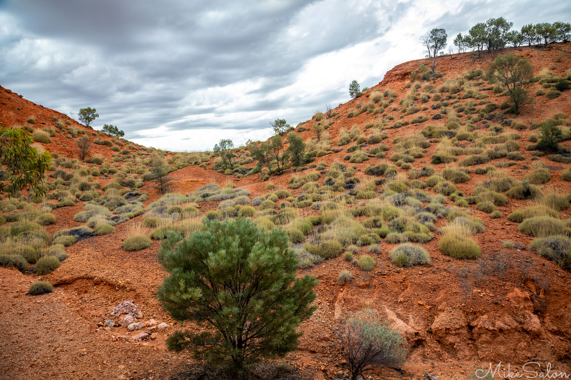 Lark Quarry, where a local station worker spotted the exposed stampede evidence. [0959]