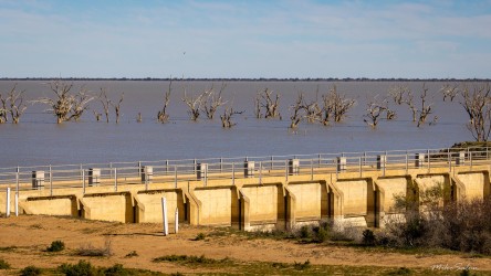 Concrete weir with submerged dead trees in the Menindee Lakes.