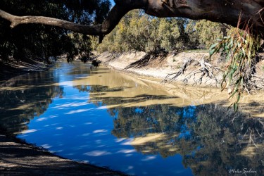 Still waterhole surrounded by trees with reflections on surface.
