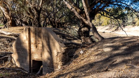 Weathered stone or concrete structure beneath trees.