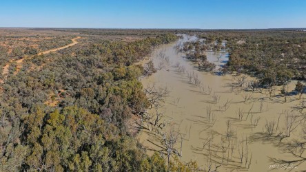 Drone view of muddy creek with submerged trees and a dirt track to the left.